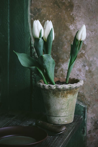 Aged Terracotta Petal Planter