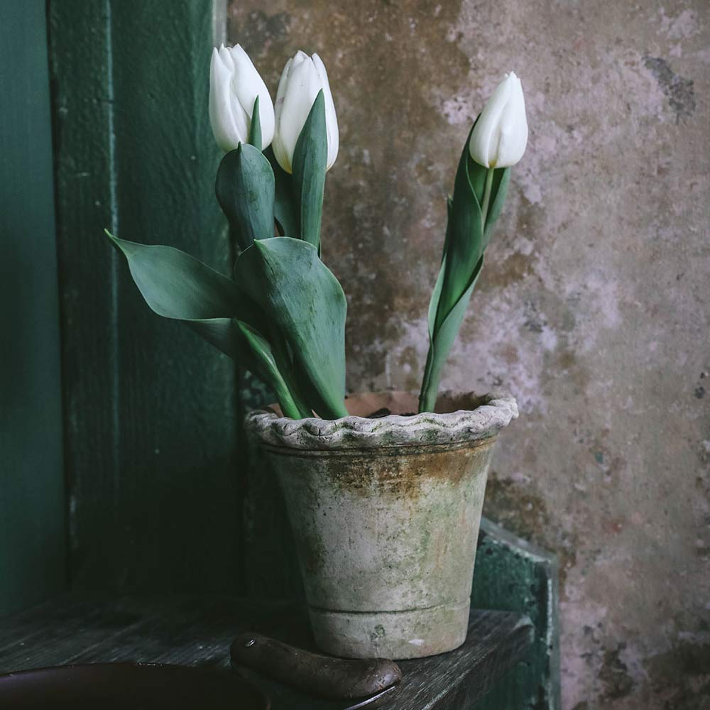 Aged Terracotta Petal Planter