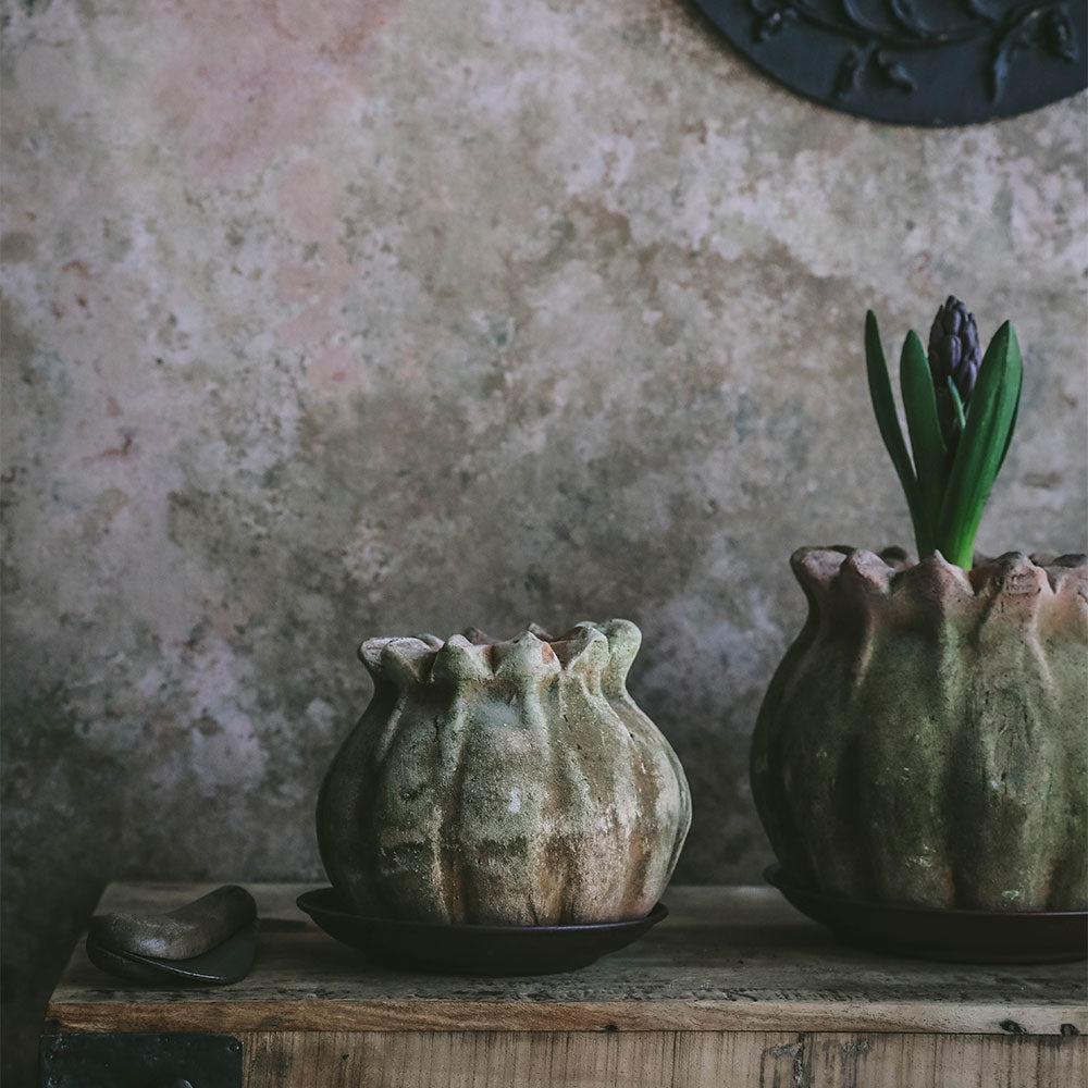 Aged Terracotta Poppy Planter