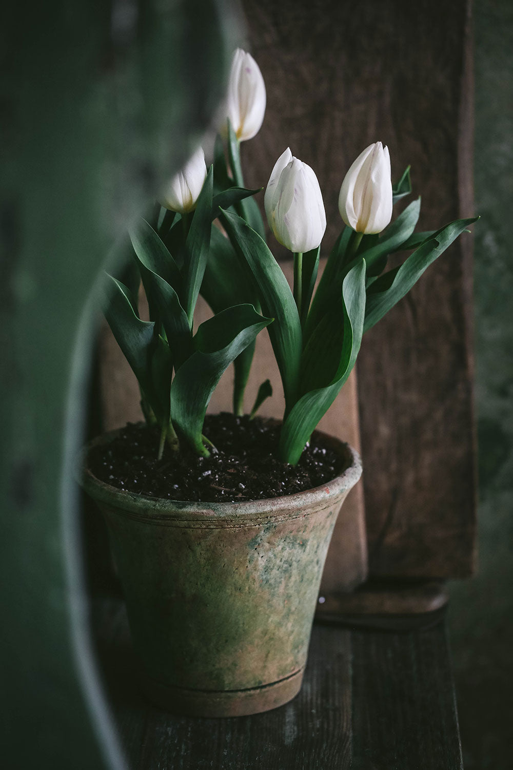 Aged Terracotta Planter