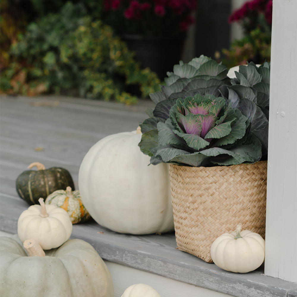 Woven Basket Planter