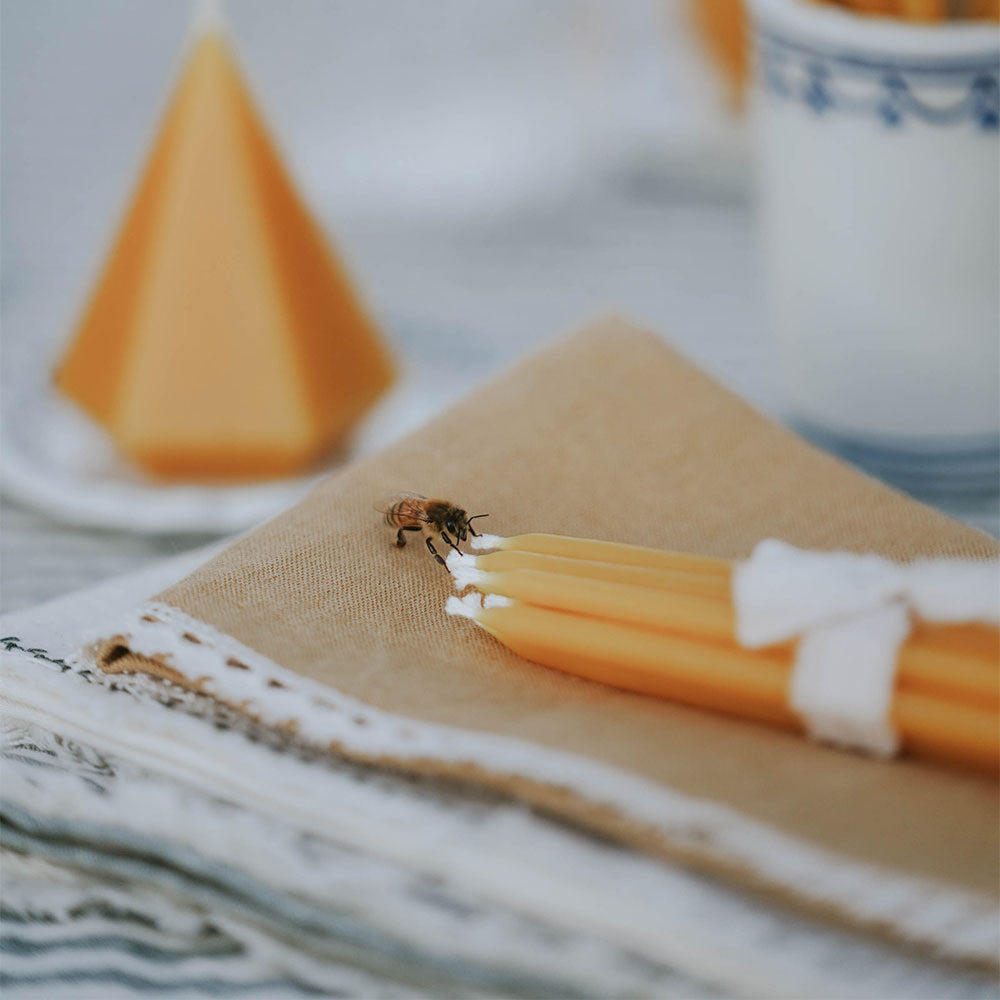 Handamde Beeswax Celebratory Candles