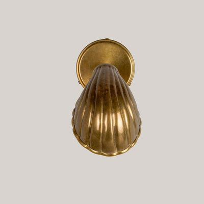 Shell Wall Sconce