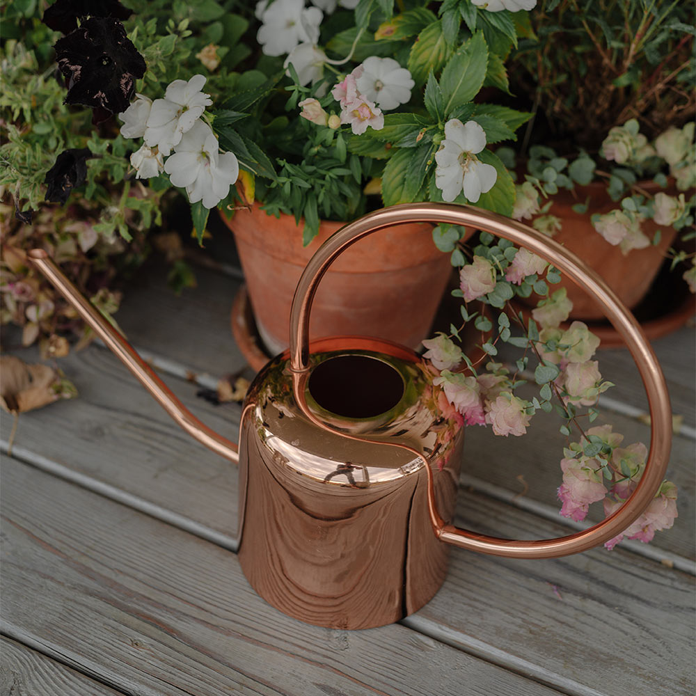 Copper Watering Can