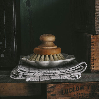 Pan & Scrub Brush with Knob