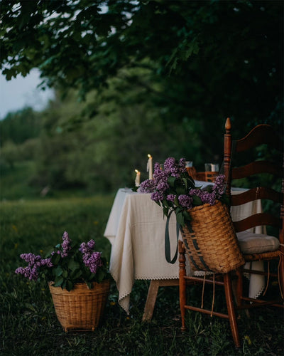 Pointelle Lace Tablecloth