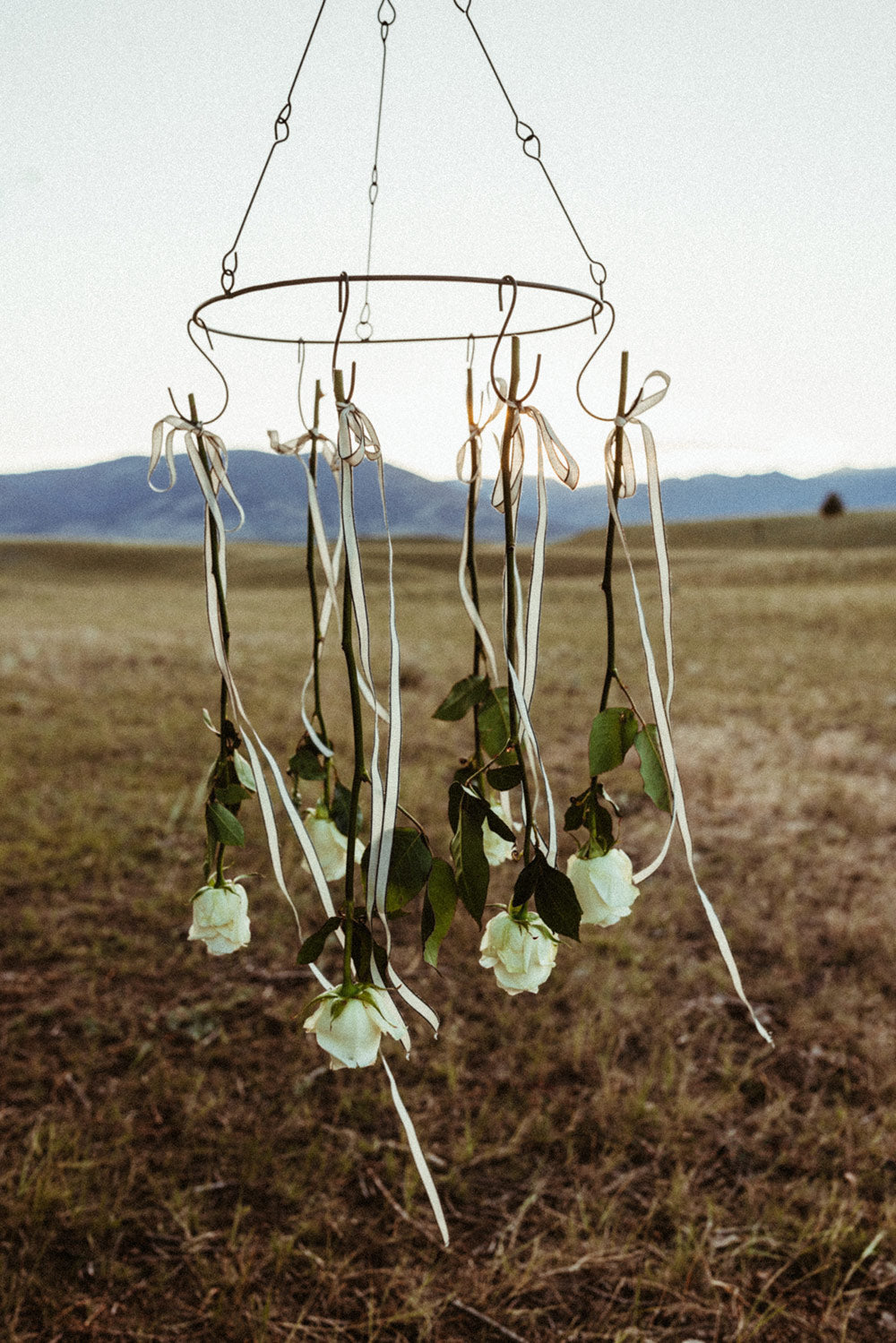 Hanging Iron Herb Rack