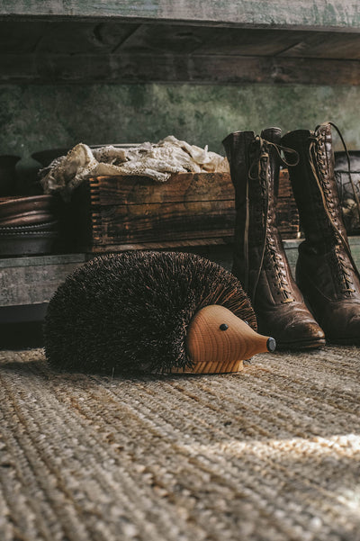 Hedgehog Shoe Cleaner