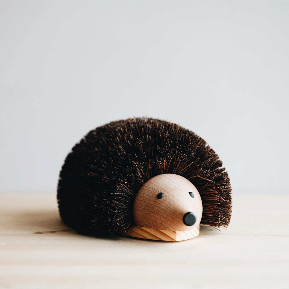 Hedgehog Shoe Cleaner