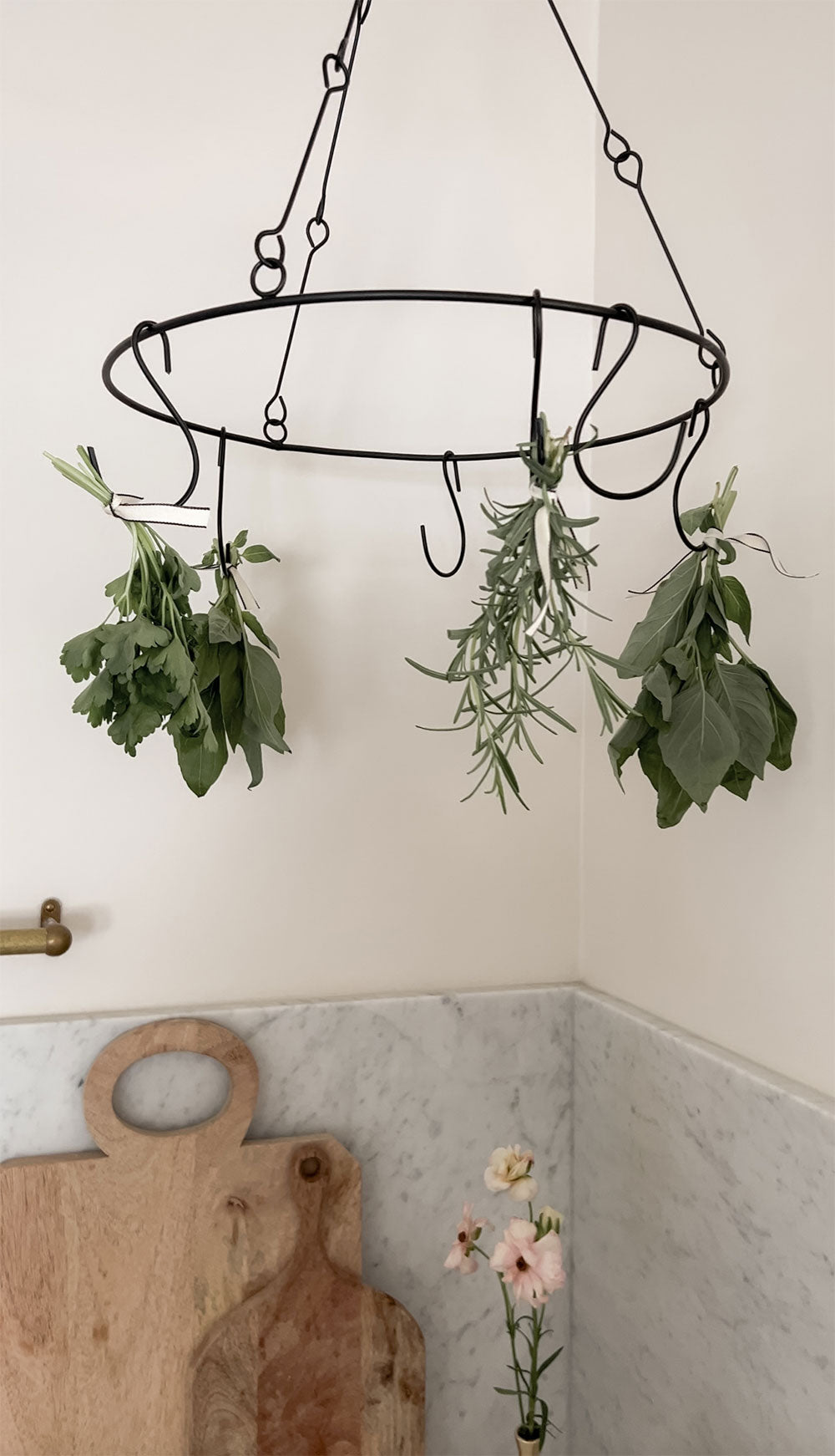 Hanging Iron Herb Rack