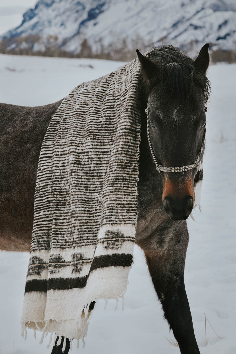 Hand-Loomed Blanket - Black/Brown