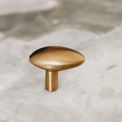 Roan Iris Antique Brass Knob