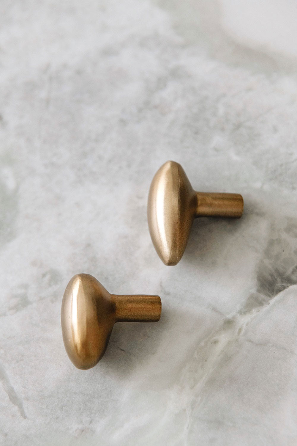 Roan Iris Antique Brass Knob