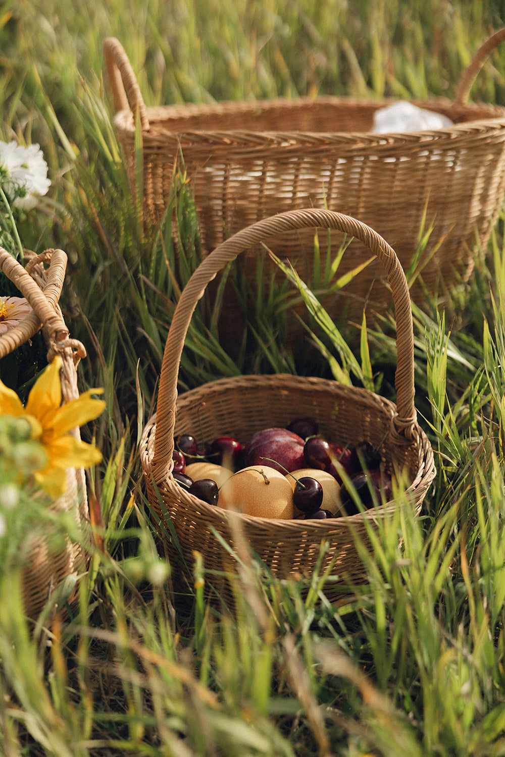 Simone Rattan Basket with Handle