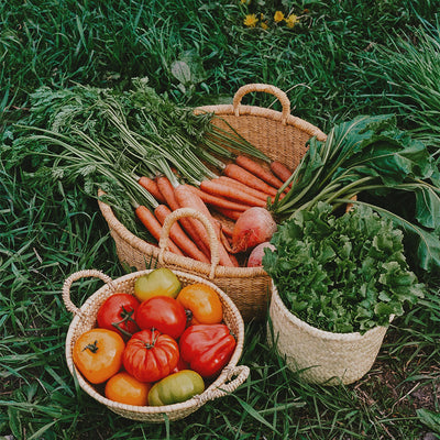 Woven Garden Basket Set