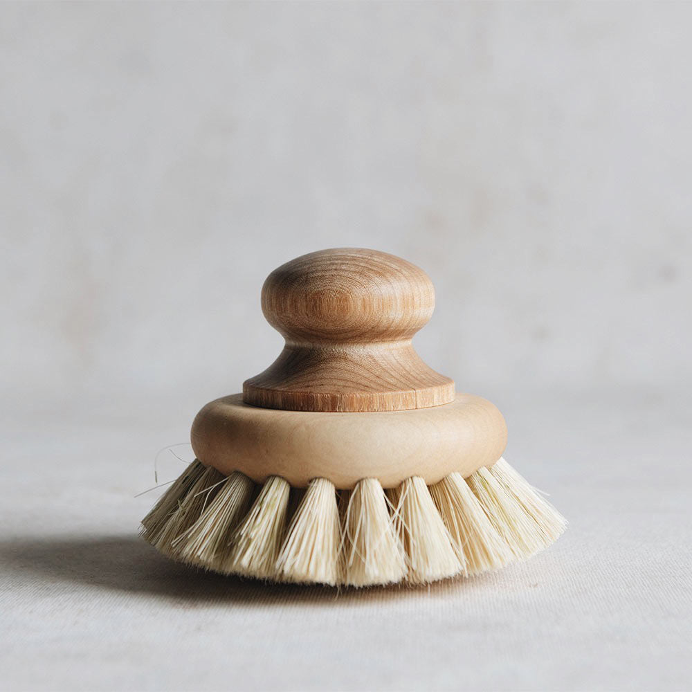 Pan & Scrub Brush with Knob