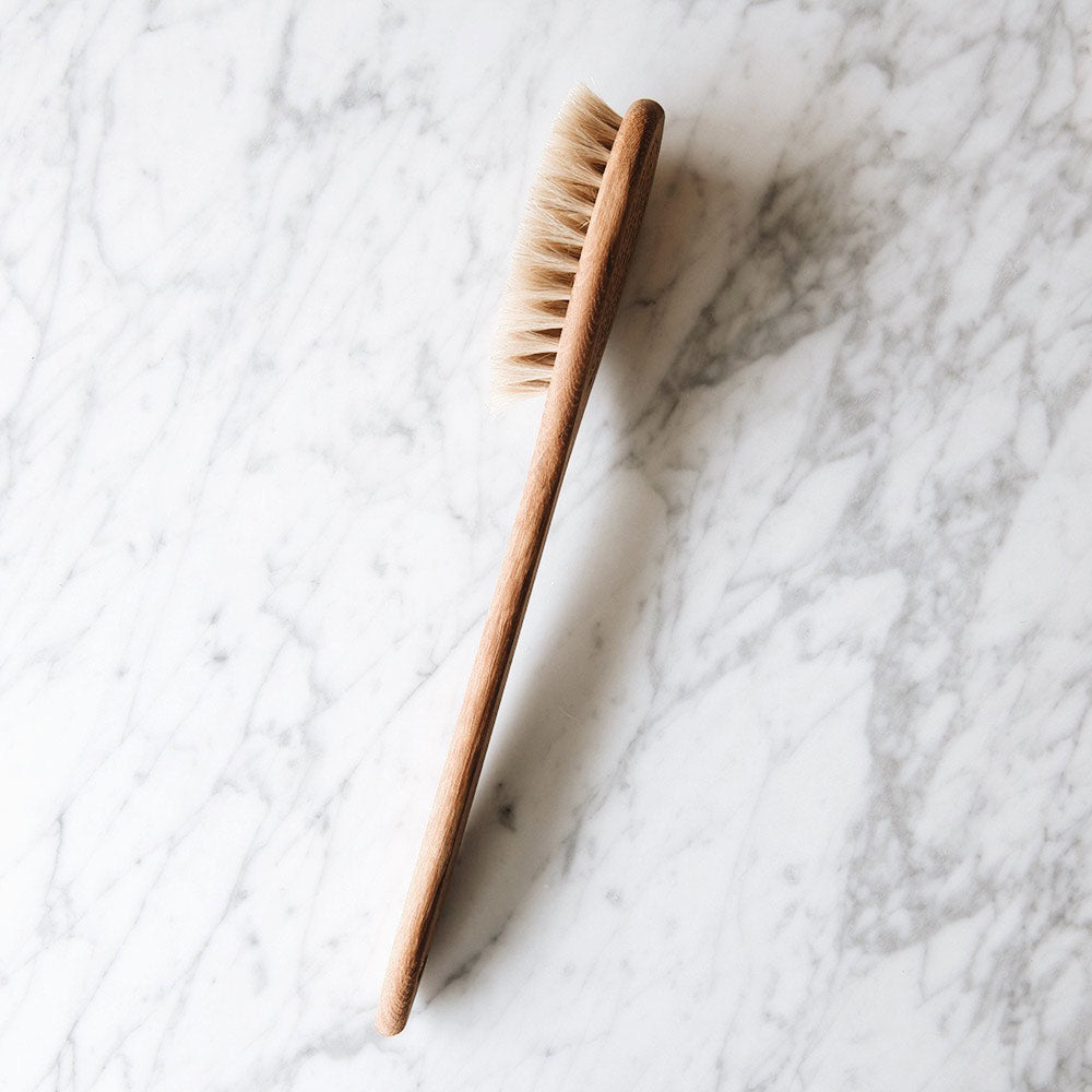 Long Handle Bath Brush, Dry Brush