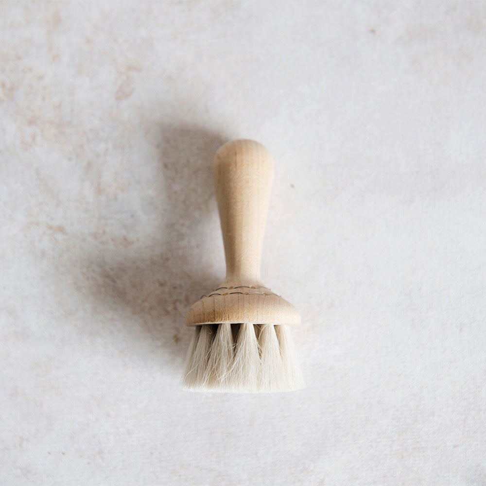 Dry Face Brush