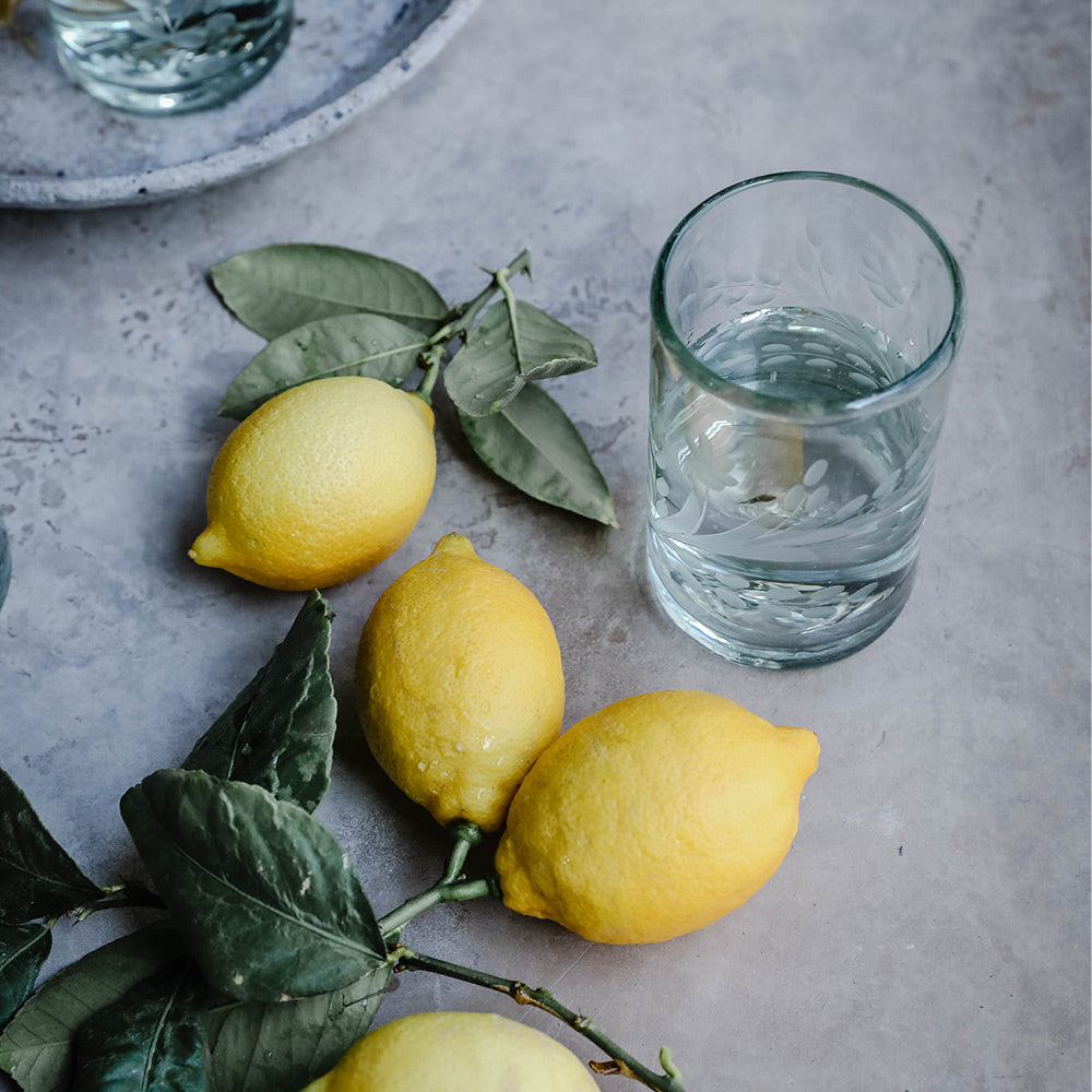 Hand-etched Floral Recycled Glassware - Short