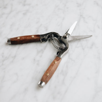 Stainless Steel & Wood Flower Snips