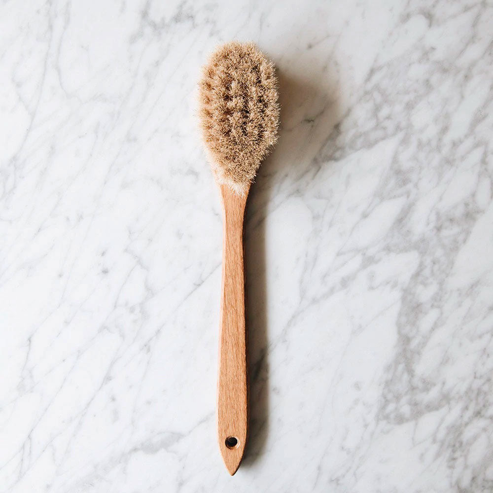 Long Handle Bath Brush, Dry Brush