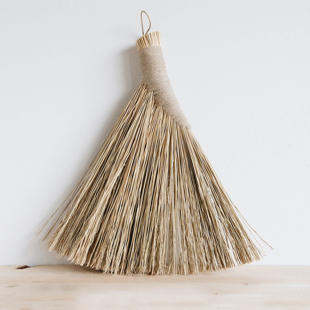 Turkey Wing Shaker Hand Broom