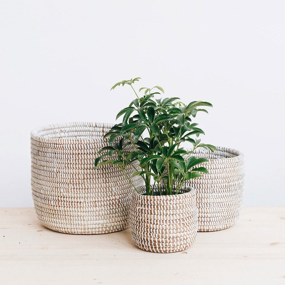 Senegalese Basket Trio